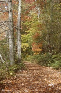 Fairfield Lake Hike 56