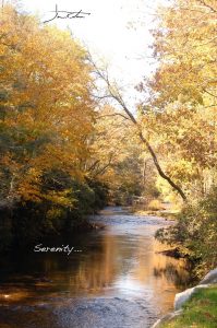 Horsepasture River 0139.JPG